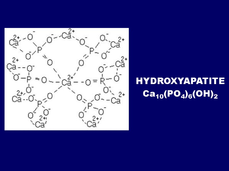 HYDROXYAPATITE Са10(РО4)6(ОН)2